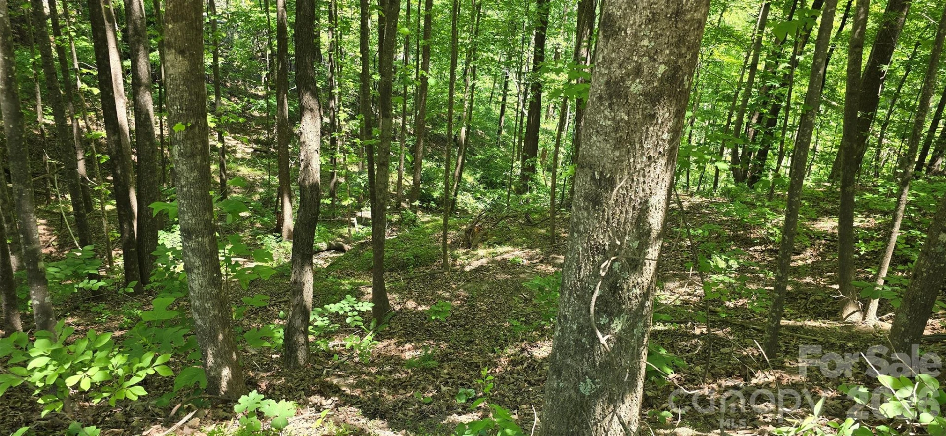 Lot 22B Pinnacle Parkway - Photo 8