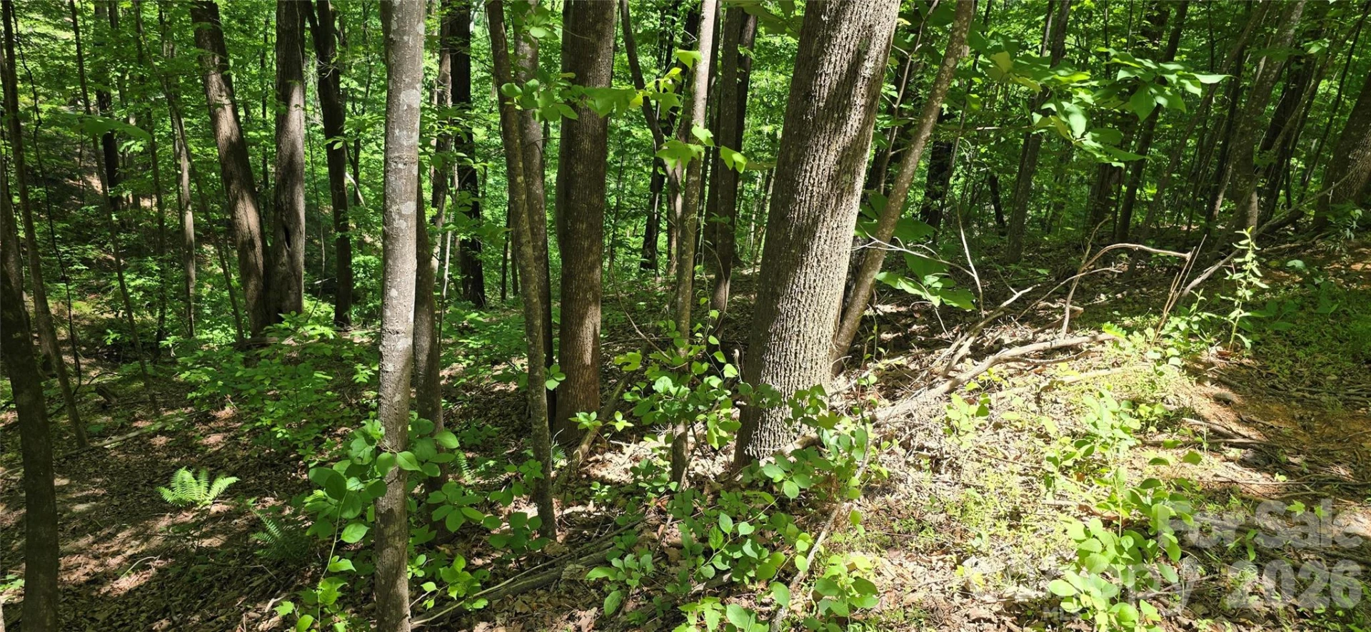 Lot 22B Pinnacle Parkway - Photo 9