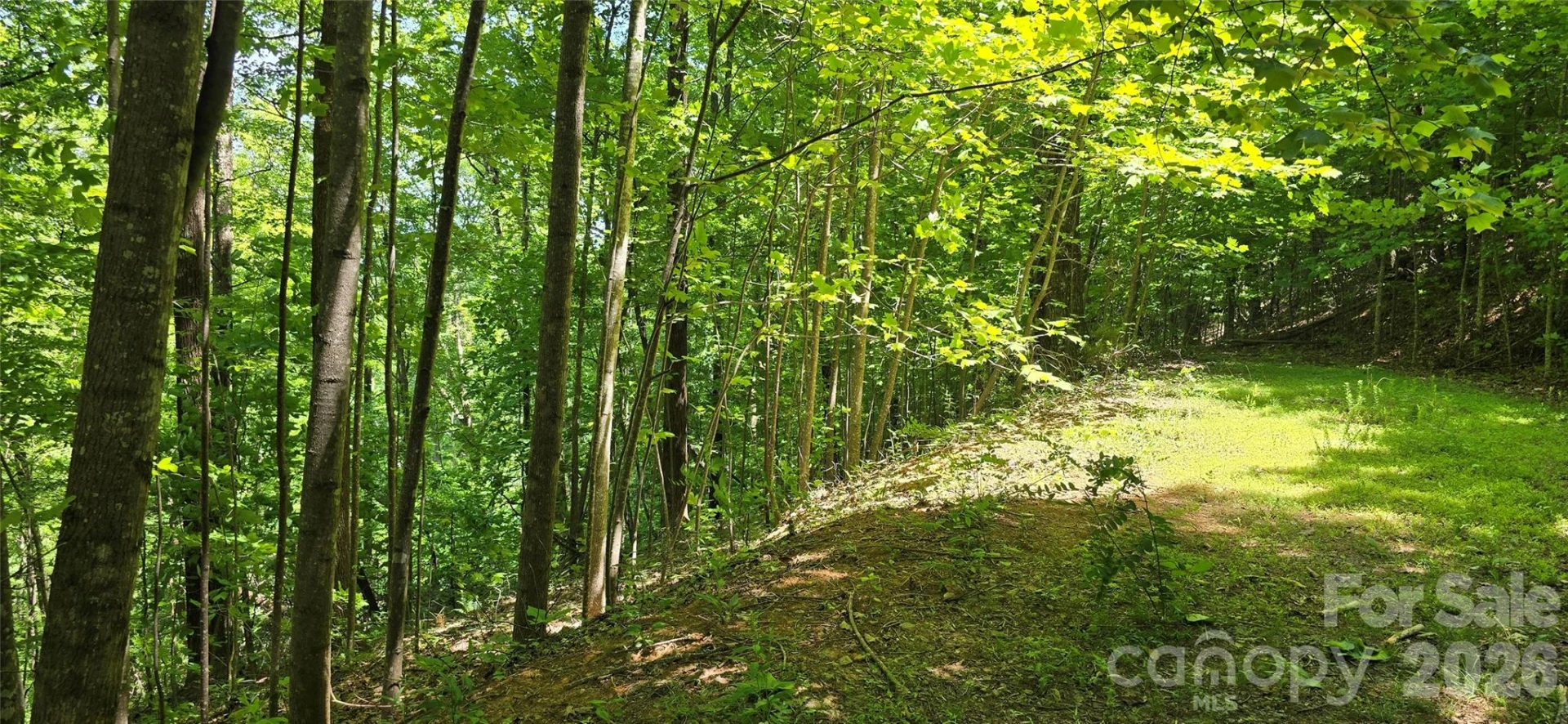 Lot 22B Pinnacle Parkway - Photo 10