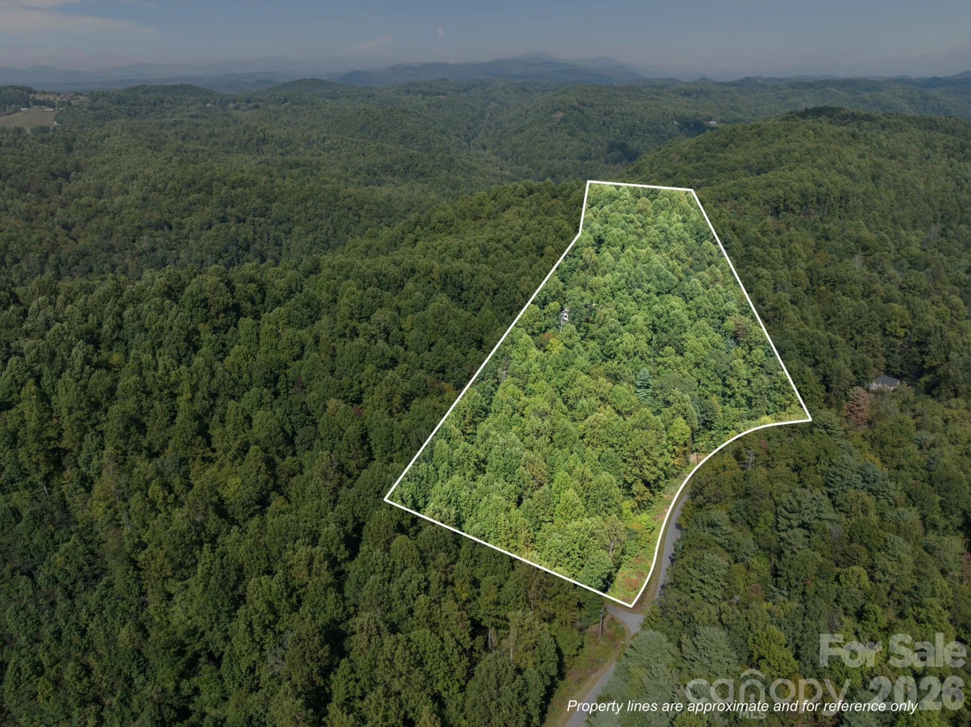 160 Little Mine Mountain Drive - Photo 38