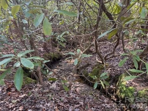 99999 Laura Brooke Drive - Photo 2