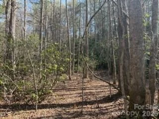99999 Laura Brooke Drive - Photo 5