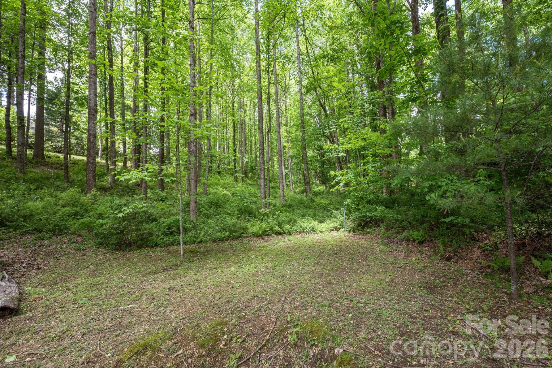 113 CHANCERY Court - Photo 41
