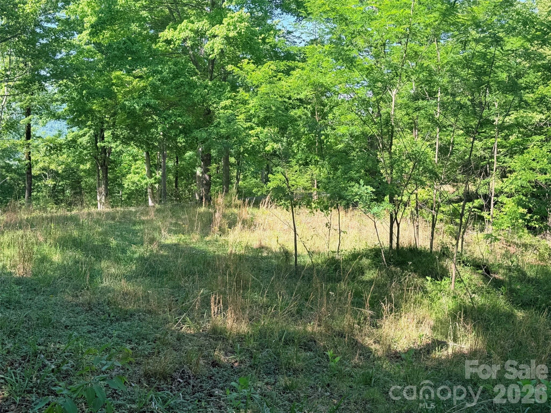 Lot 8 High Rock Ridge