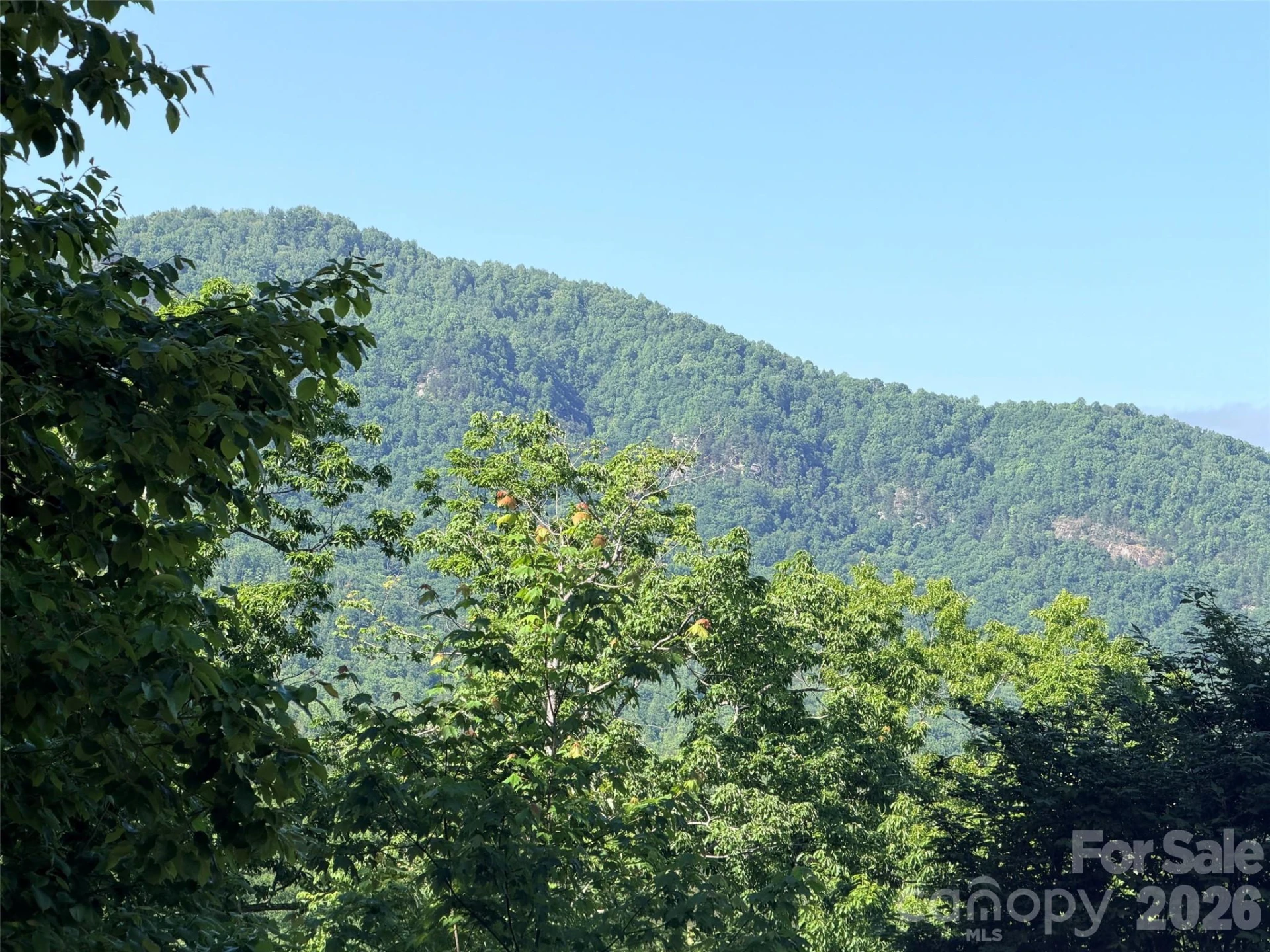 Lot 8 High Rock Ridge - Photo 2