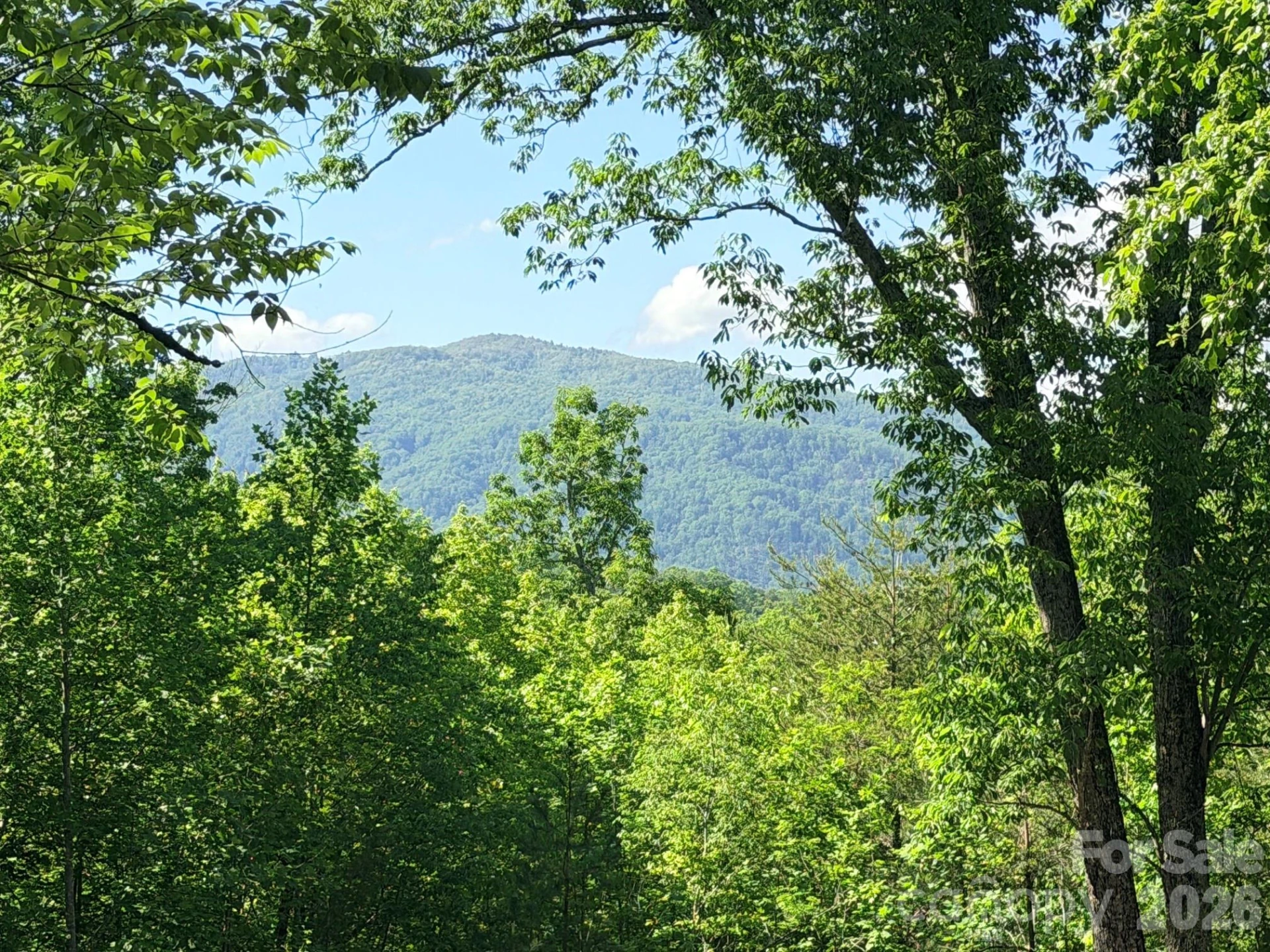Lot 8 High Rock Ridge - Photo 11