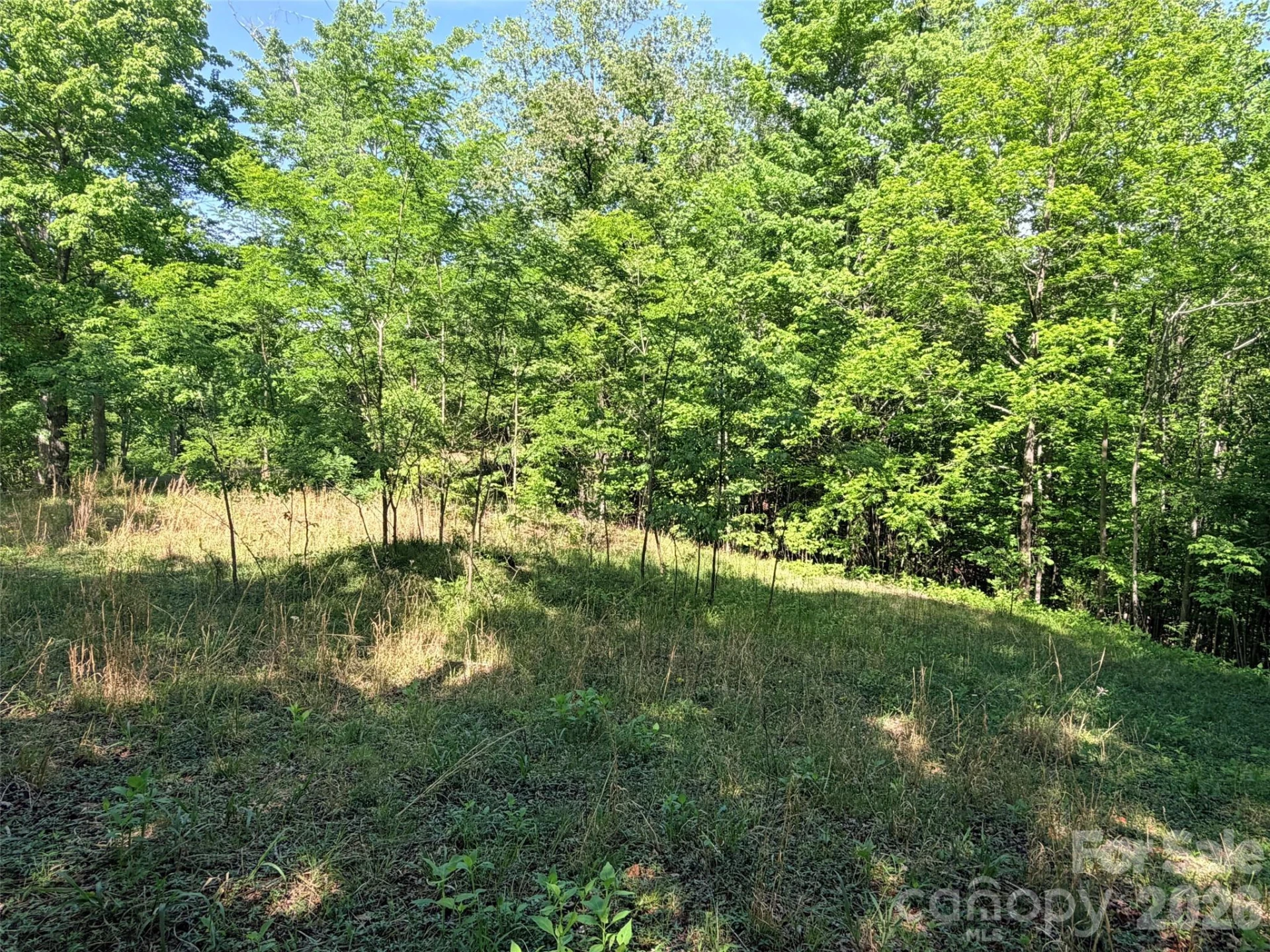 Lot 8 High Rock Ridge - Photo 4