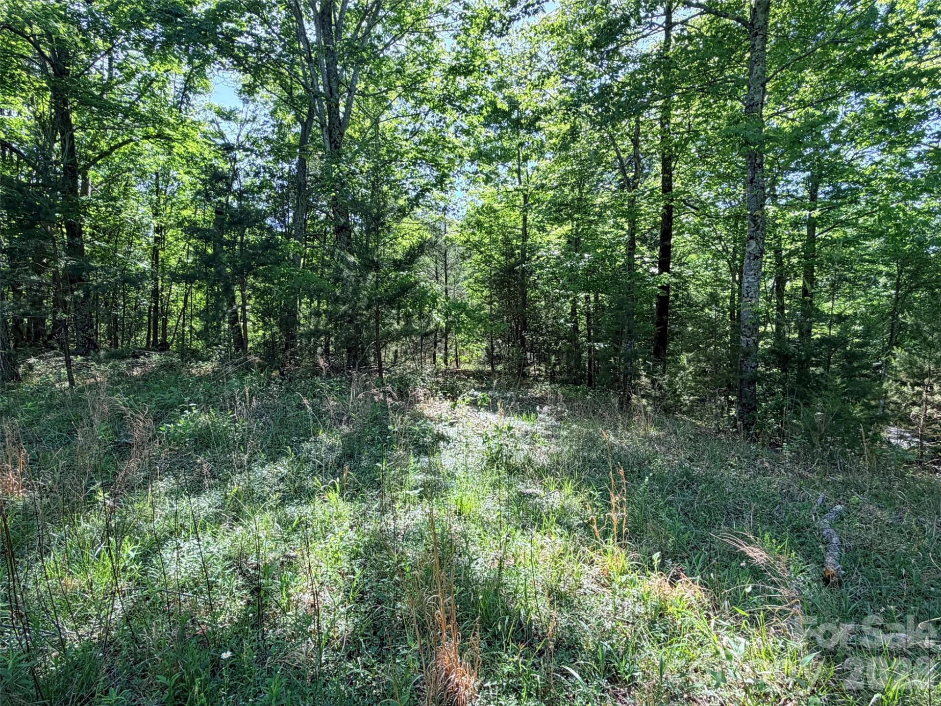 Lot 8 High Rock Ridge - Photo 5