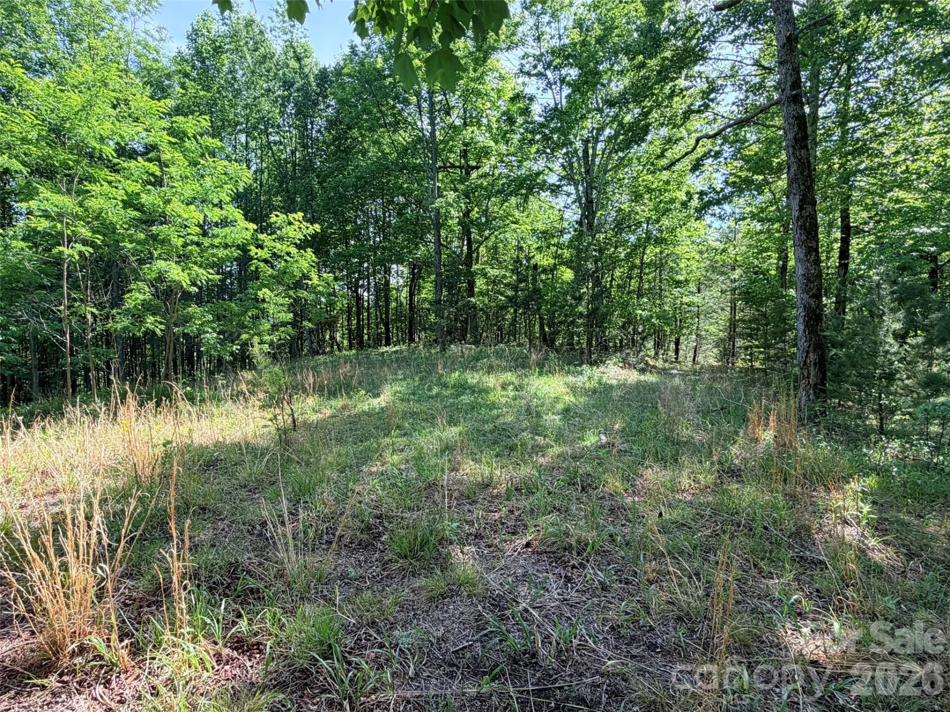 Lot 8 High Rock Ridge - Photo 6