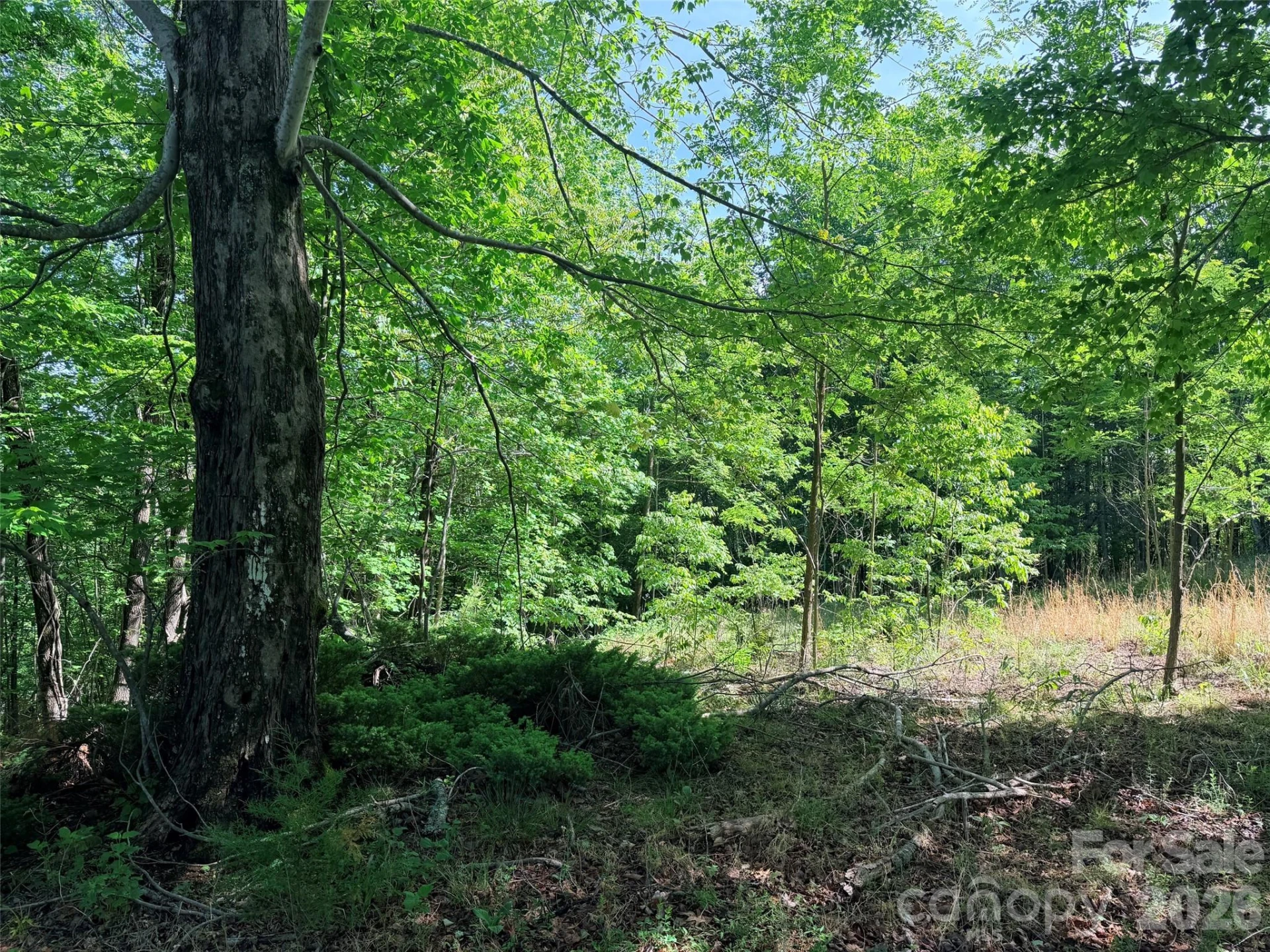 Lot 8 High Rock Ridge - Photo 7