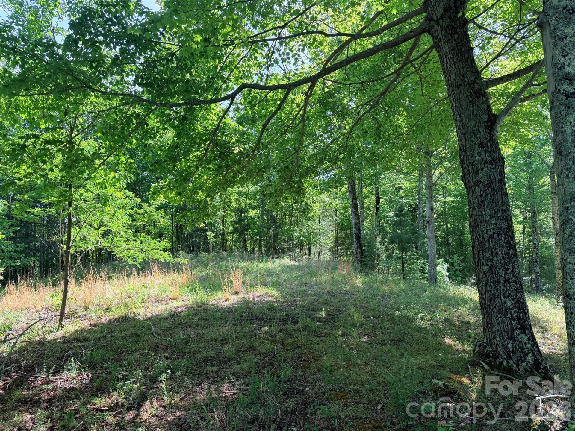 Lot 8 High Rock Ridge - Photo 8