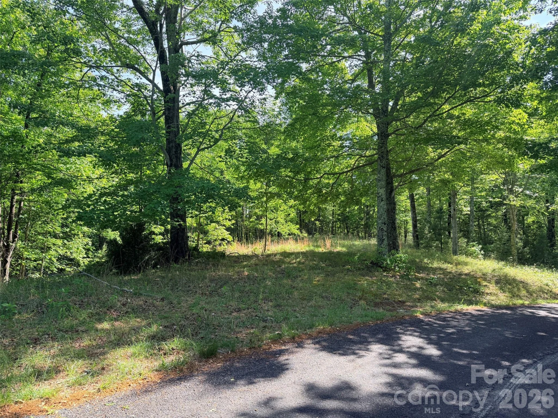 Lot 8 High Rock Ridge - Photo 9