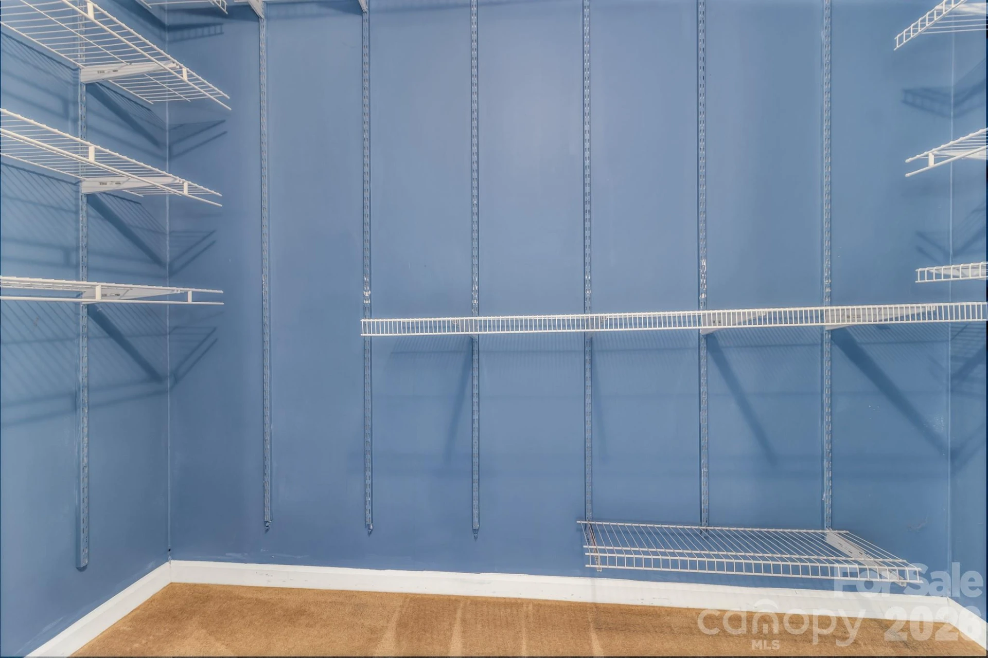31 Trent Drive #48 - Photo 29