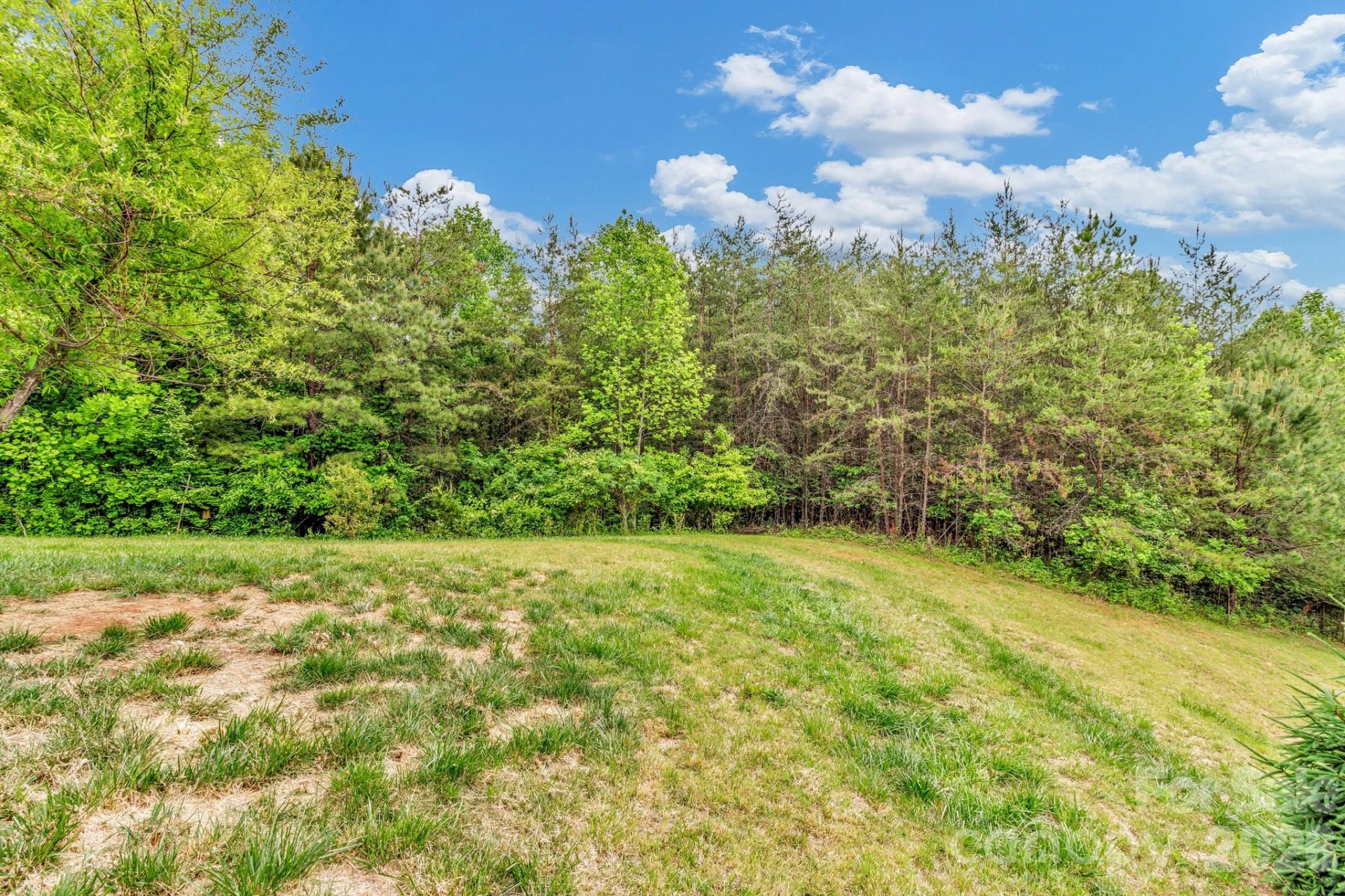 31 Trent Drive #48 - Photo 44