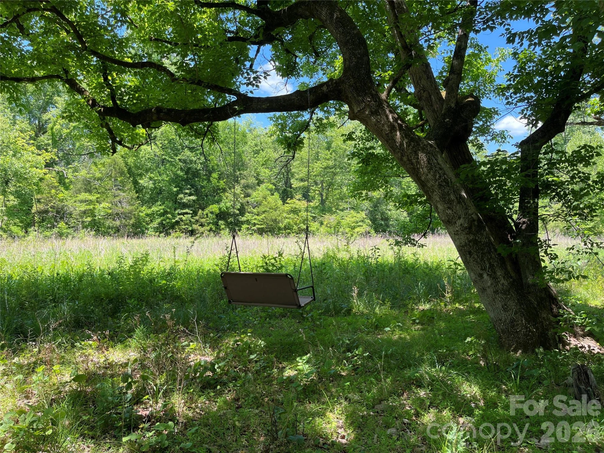 183 Cedarberry Glen - Photo 4
