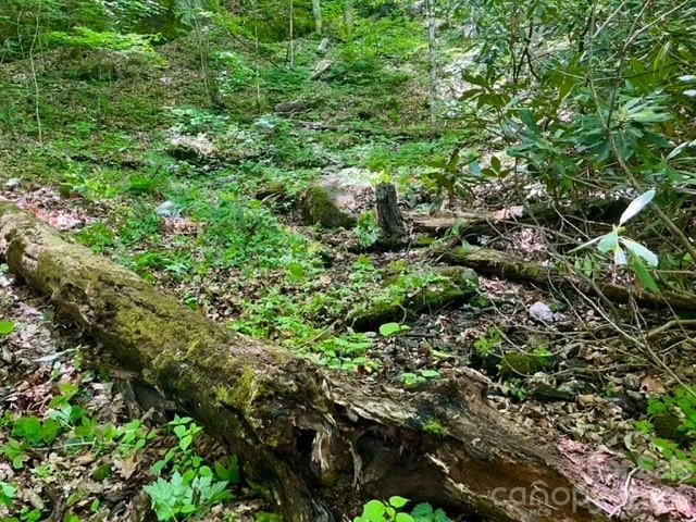 00000 Soco Road - Photo 11