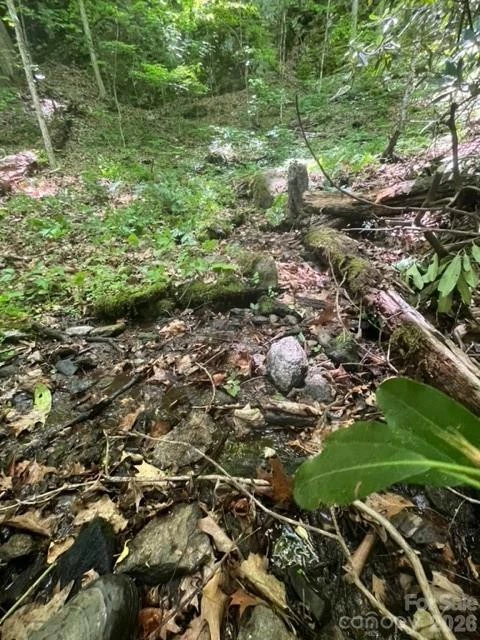 00000 Soco Road - Photo 12