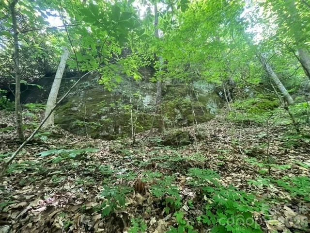 00000 Soco Road - Photo 13