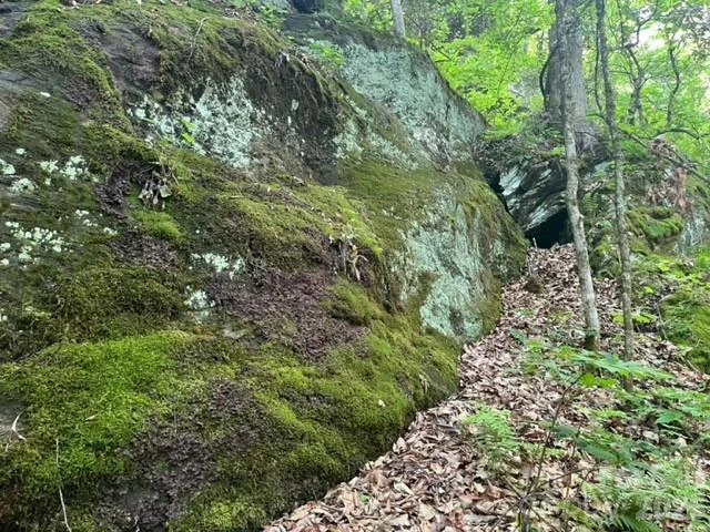 00000 Soco Road - Photo 14
