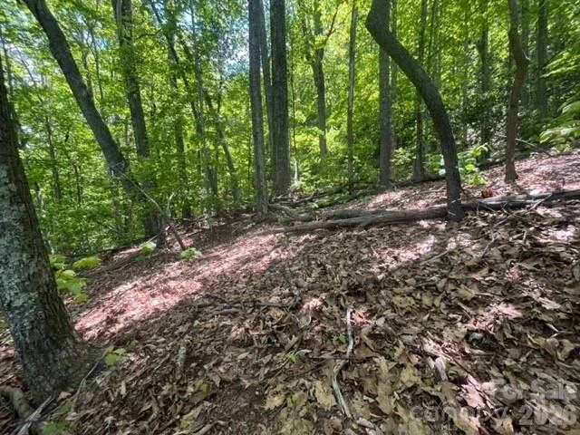 00000 Soco Road - Photo 15