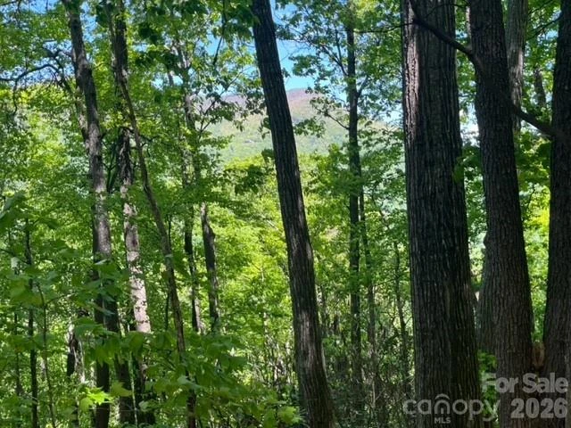 00000 Soco Road - Photo 16