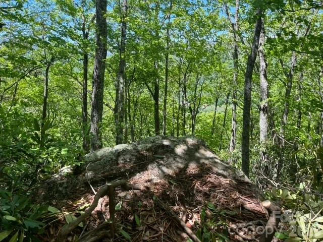 00000 Soco Road - Photo 17