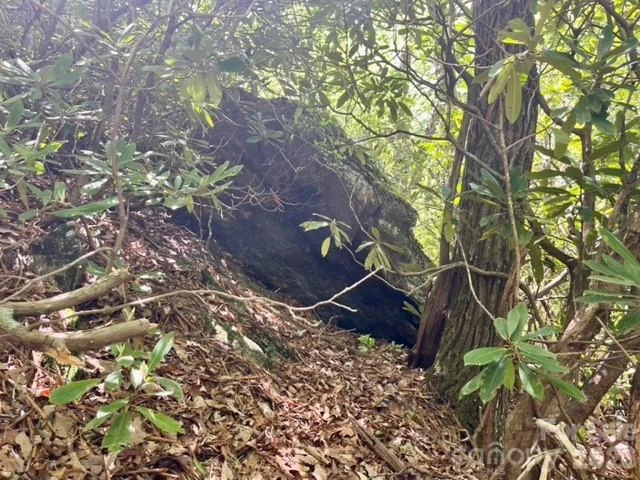 00000 Soco Road - Photo 18