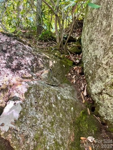 00000 Soco Road - Photo 22