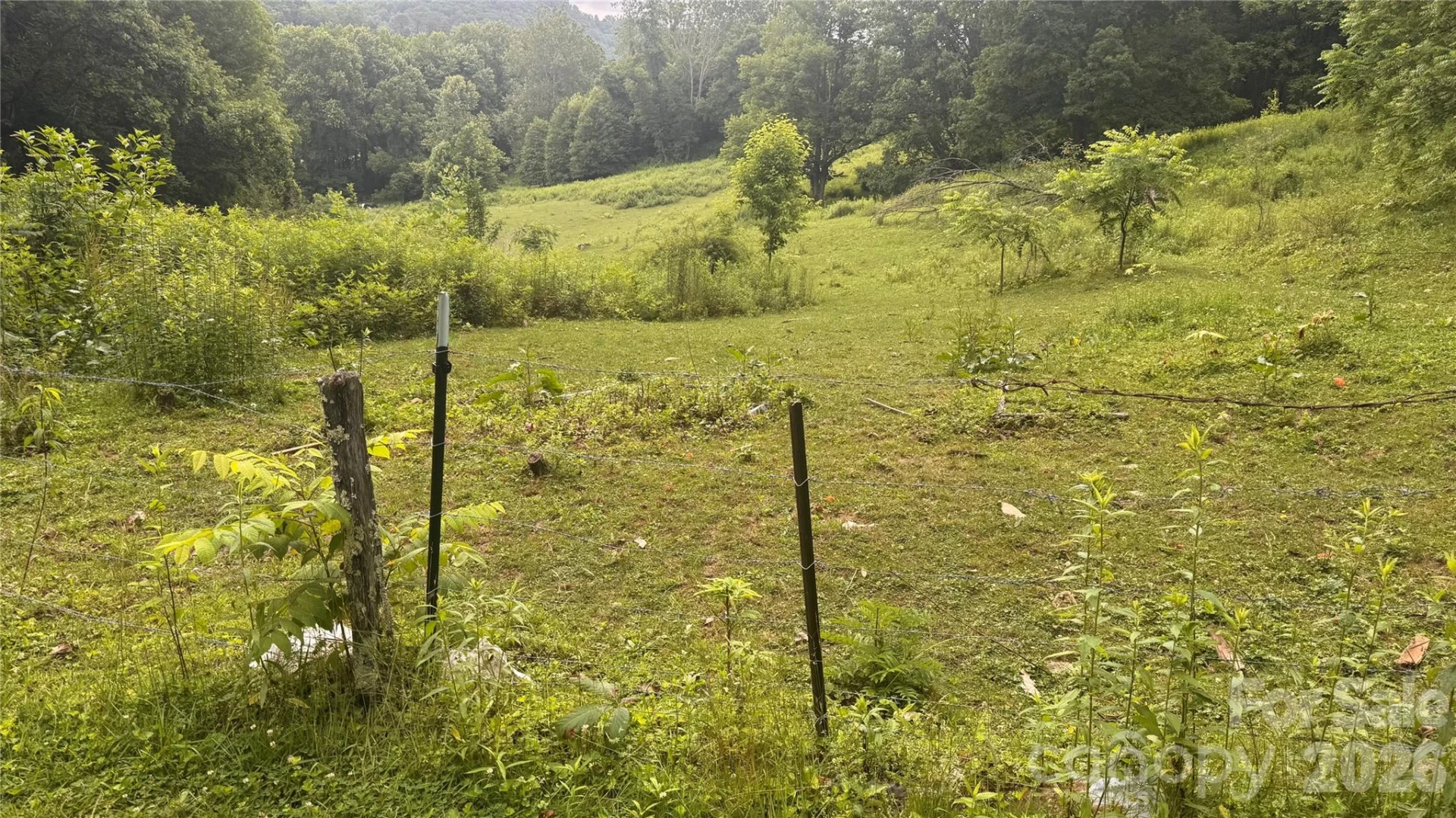 00000 Soco Road - Photo 24