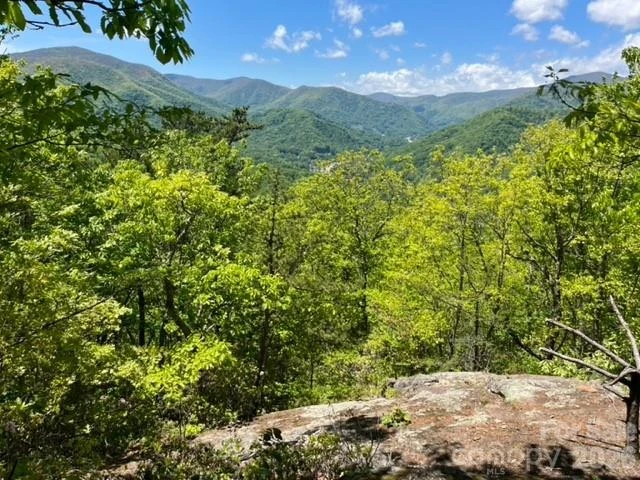 00000 Soco Road - Photo 5
