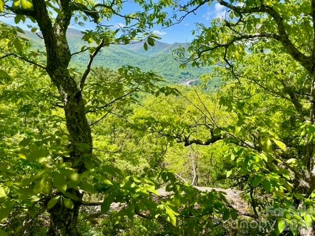 00000 Soco Road - Photo 6