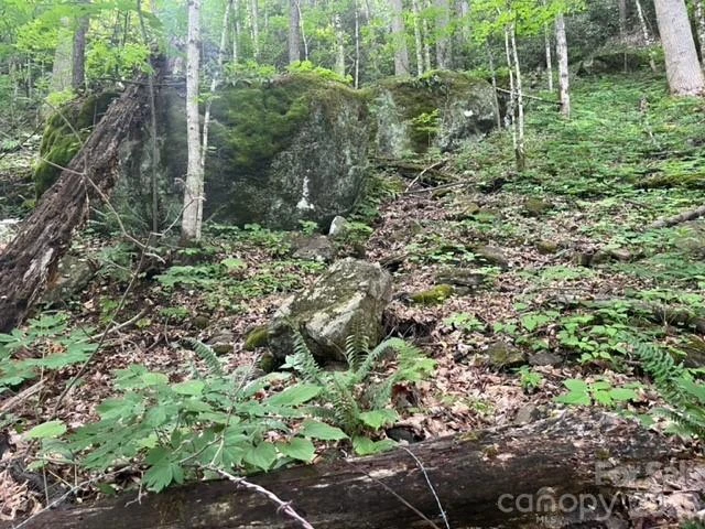 00000 Soco Road - Photo 8