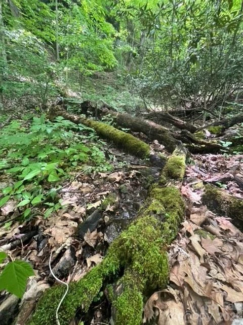 00000 Soco Road - Photo 10