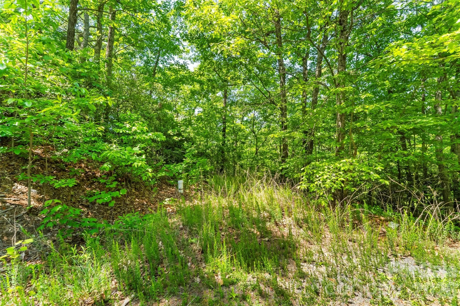 1620 North Haven Drive #CC18 - Photo 4