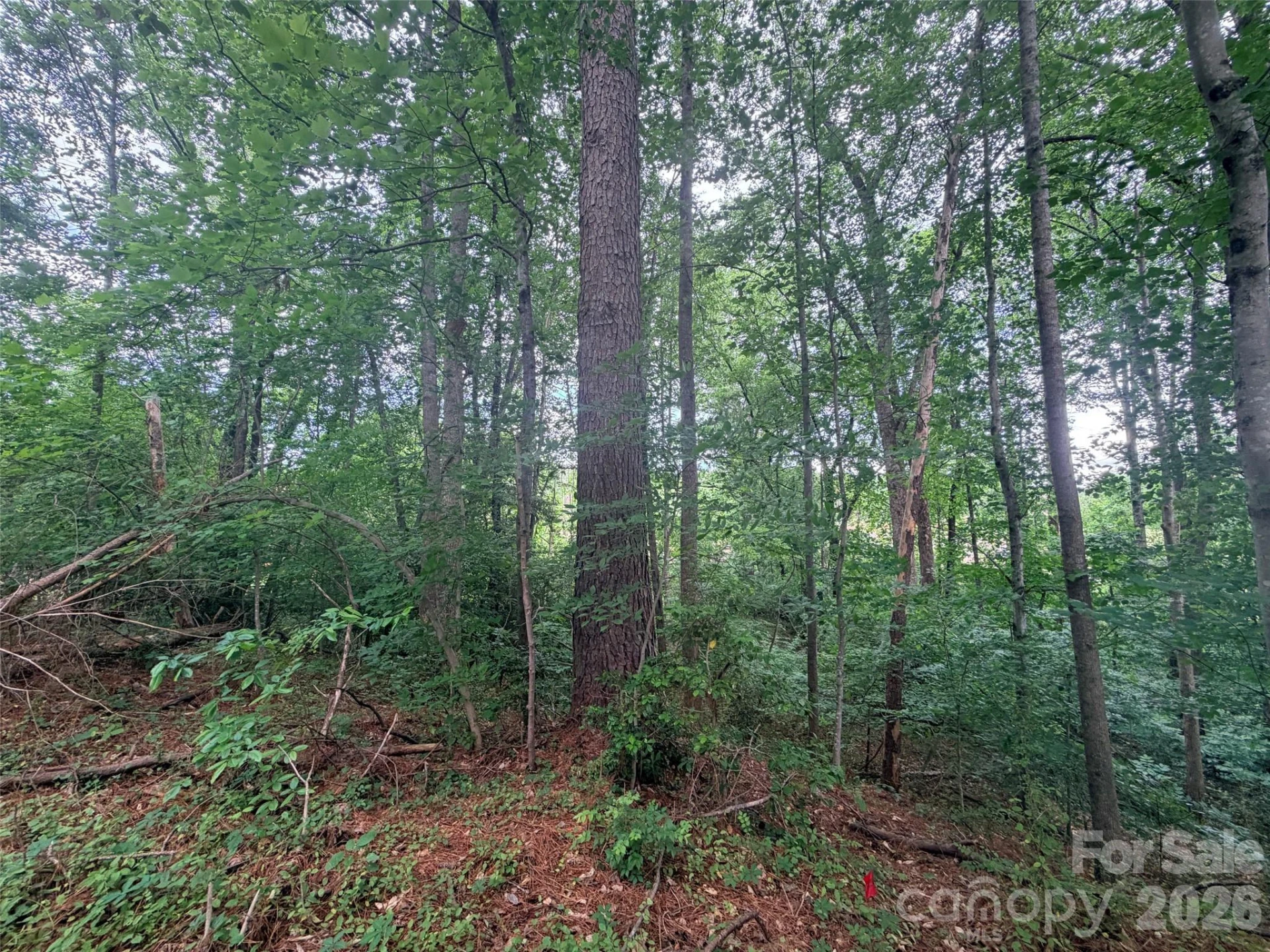 Lot 12 Sheepnose Drive - Photo 6