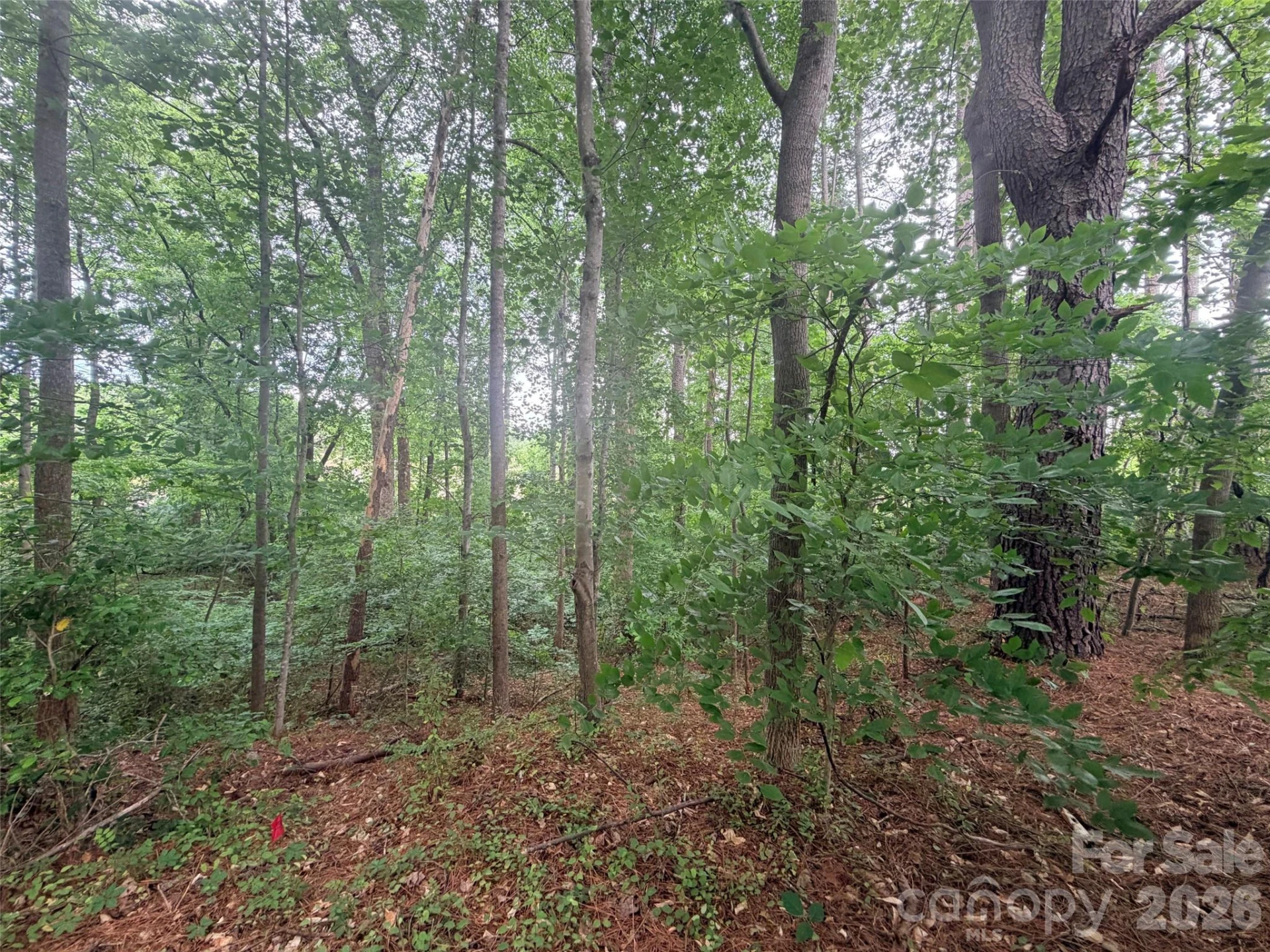 Lot 12 Sheepnose Drive - Photo 7
