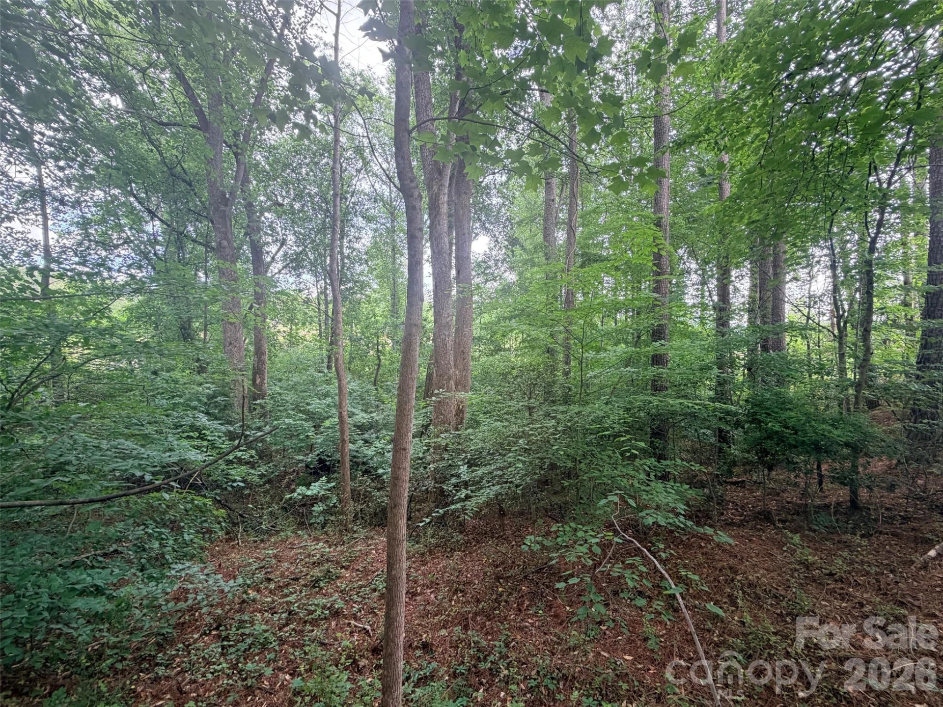 Lot 12 Sheepnose Drive - Photo 8