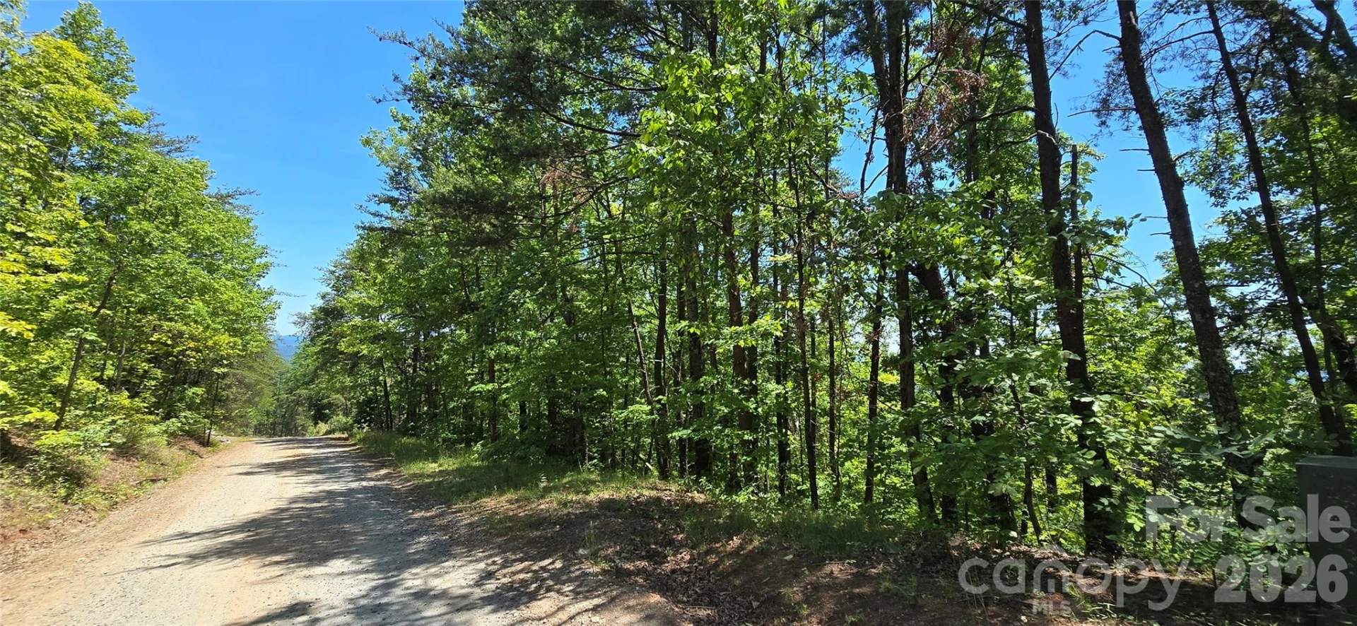Lot 7 Pinnacle Parkway - Photo 2