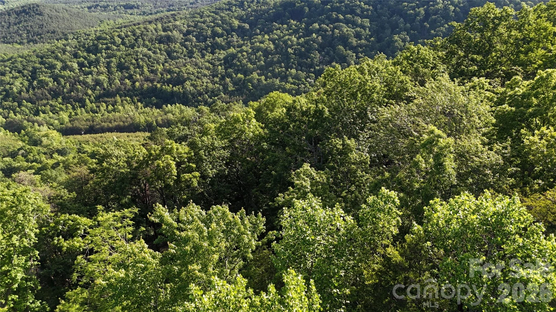 Lot 7 Pinnacle Parkway - Photo 12