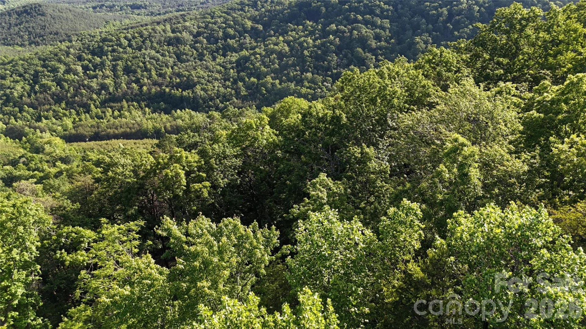 Lot 7 Pinnacle Parkway - Photo 13