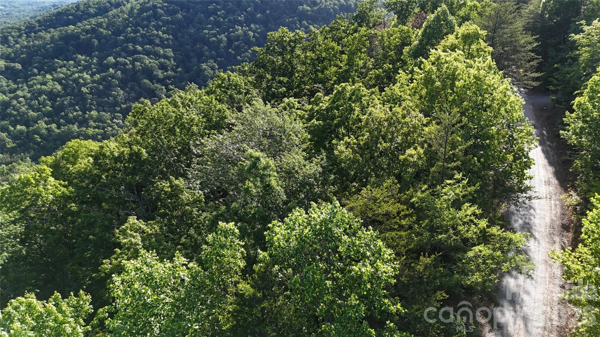 Lot 7 Pinnacle Parkway - Photo 14