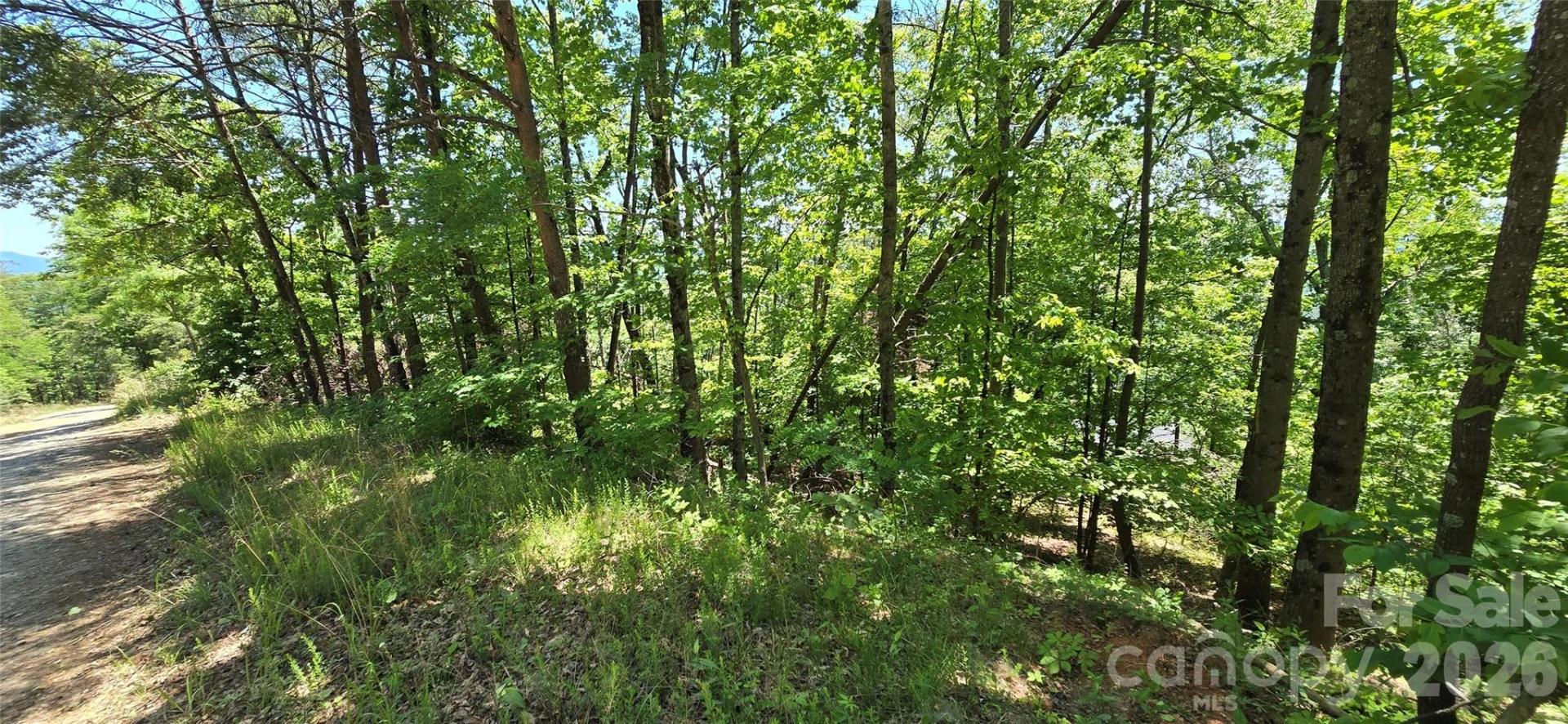 Lot 7 Pinnacle Parkway - Photo 3