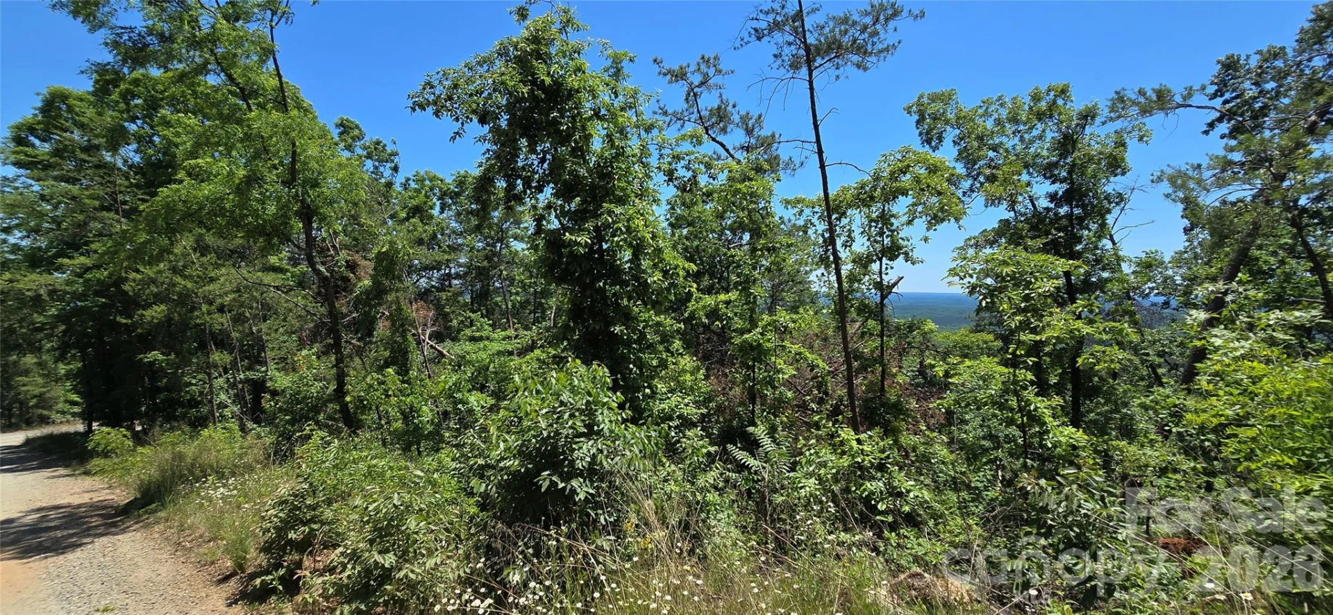 Lot 7 Pinnacle Parkway - Photo 4