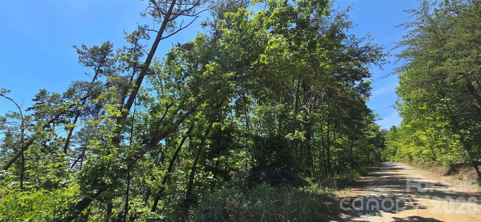 Lot 7 Pinnacle Parkway - Photo 5