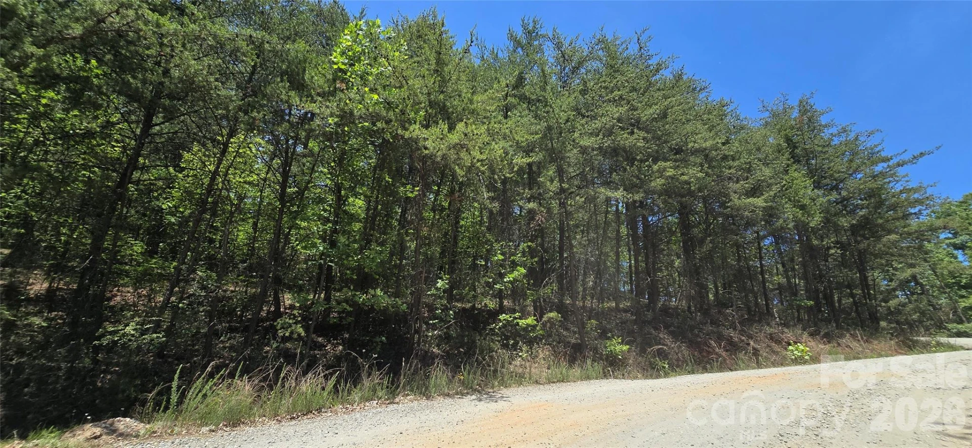 Lot 7 Pinnacle Parkway - Photo 6