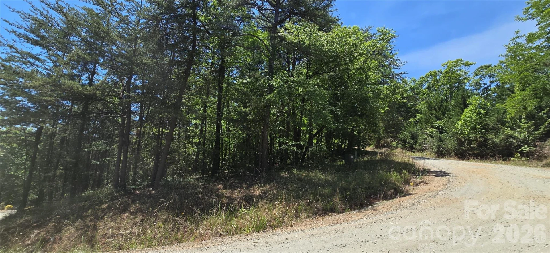 Lot 7 Pinnacle Parkway - Photo 7
