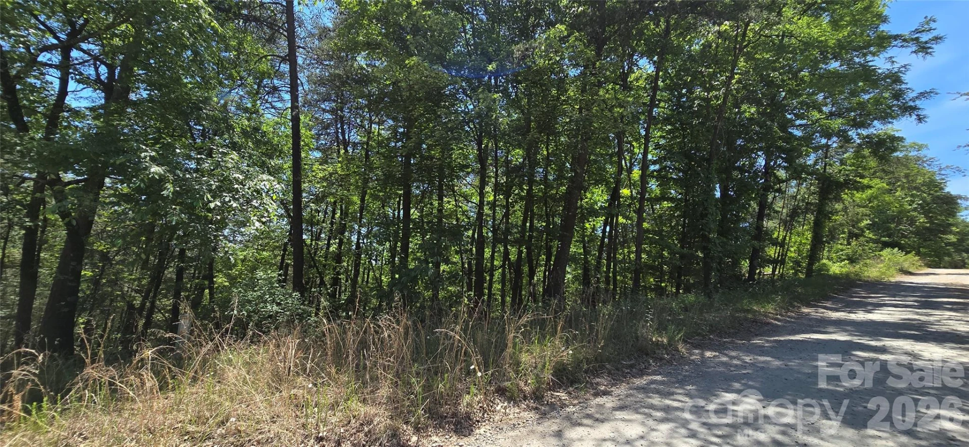 Lot 7 Pinnacle Parkway - Photo 8