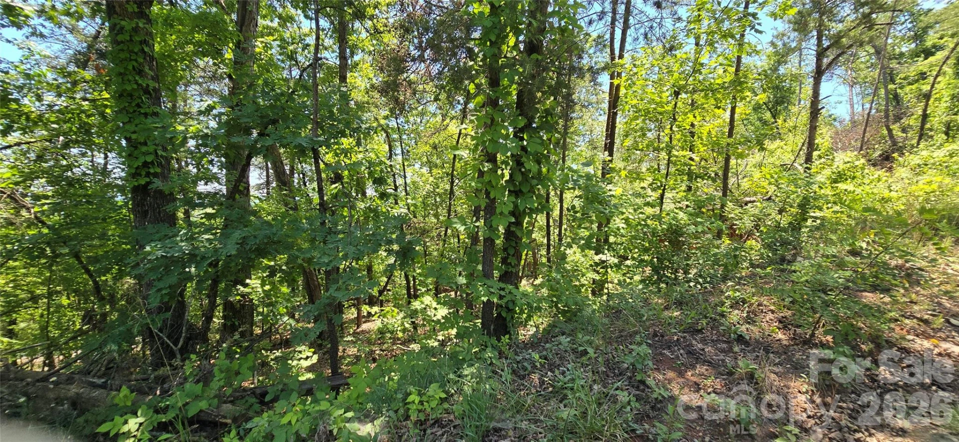 Lot 7 Pinnacle Parkway - Photo 9