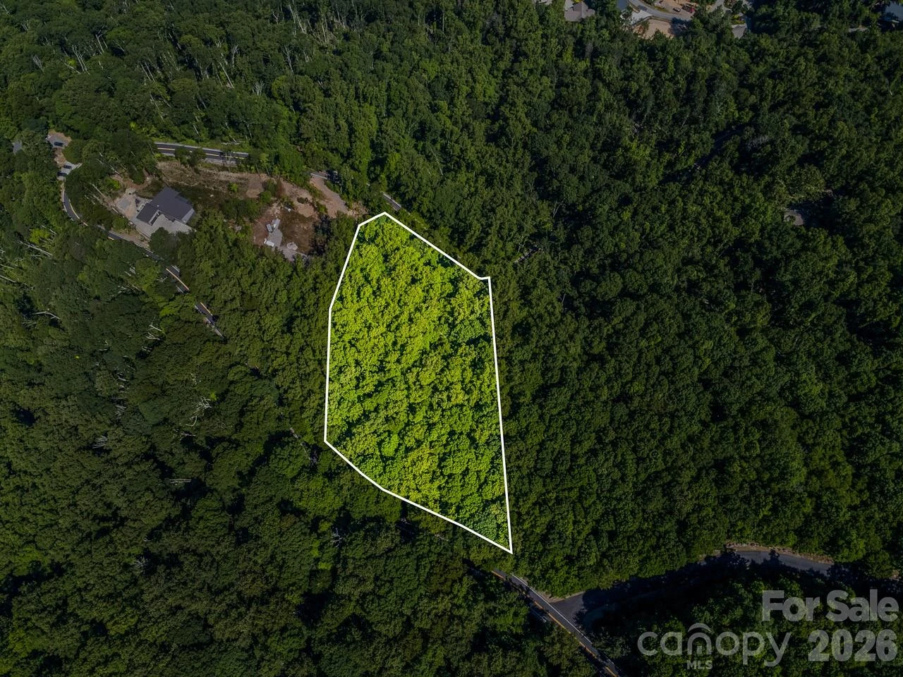 Lot 3 Cedar Mountain Road #3 - Photo 2