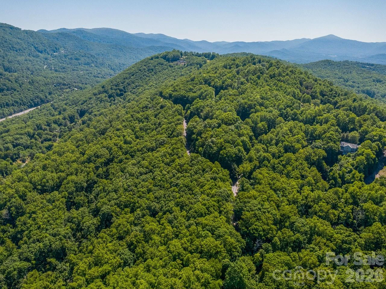 Lot 3 Cedar Mountain Road #3 - Photo 11